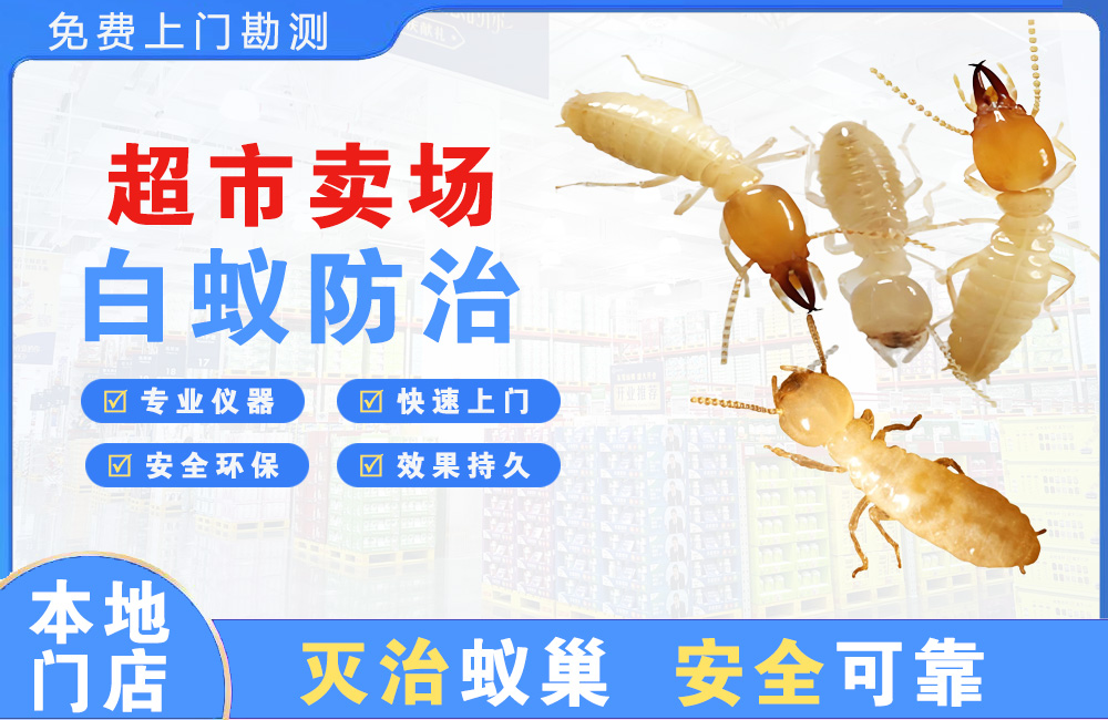 荆州超市卖场白蚁防治