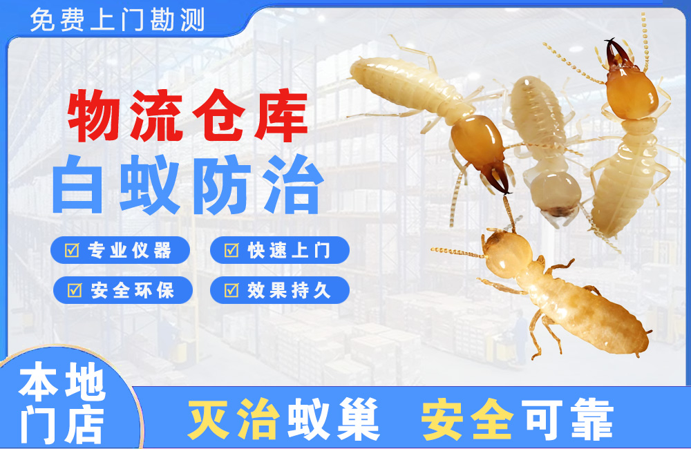 荆州物流仓库白蚁防治