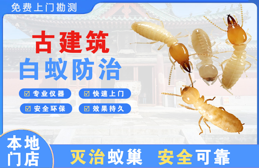 荆州古建筑白蚁防治
