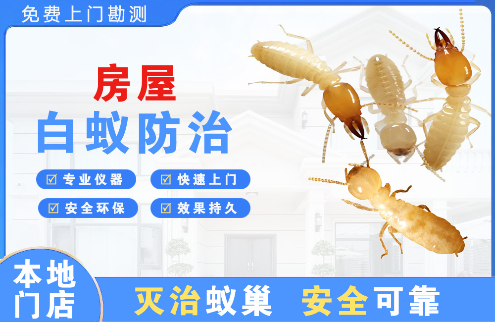 荆州房屋白蚁防治