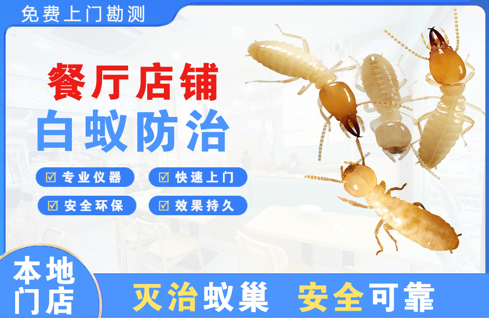 荆州餐厅店铺白蚁防治
